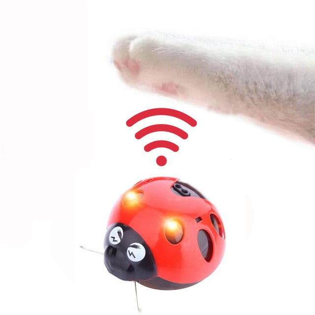 inteligent escaping toy smart escape toy fun can go all-round high-speed infrared sensors Intelligent infrared sensor toys 2019